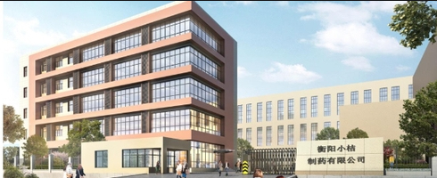 2020.5 衡阳小桔制药有限公司 小桔生物科技10KV配电工程